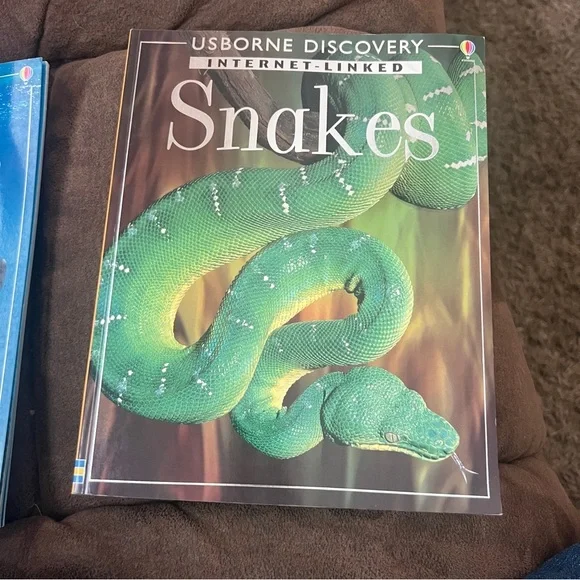 Usborne Discovery Sharks Book - Picture 2 of 3